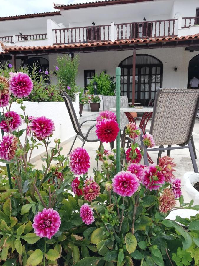 Hotel Paradise Vasilias  Bagian luar foto